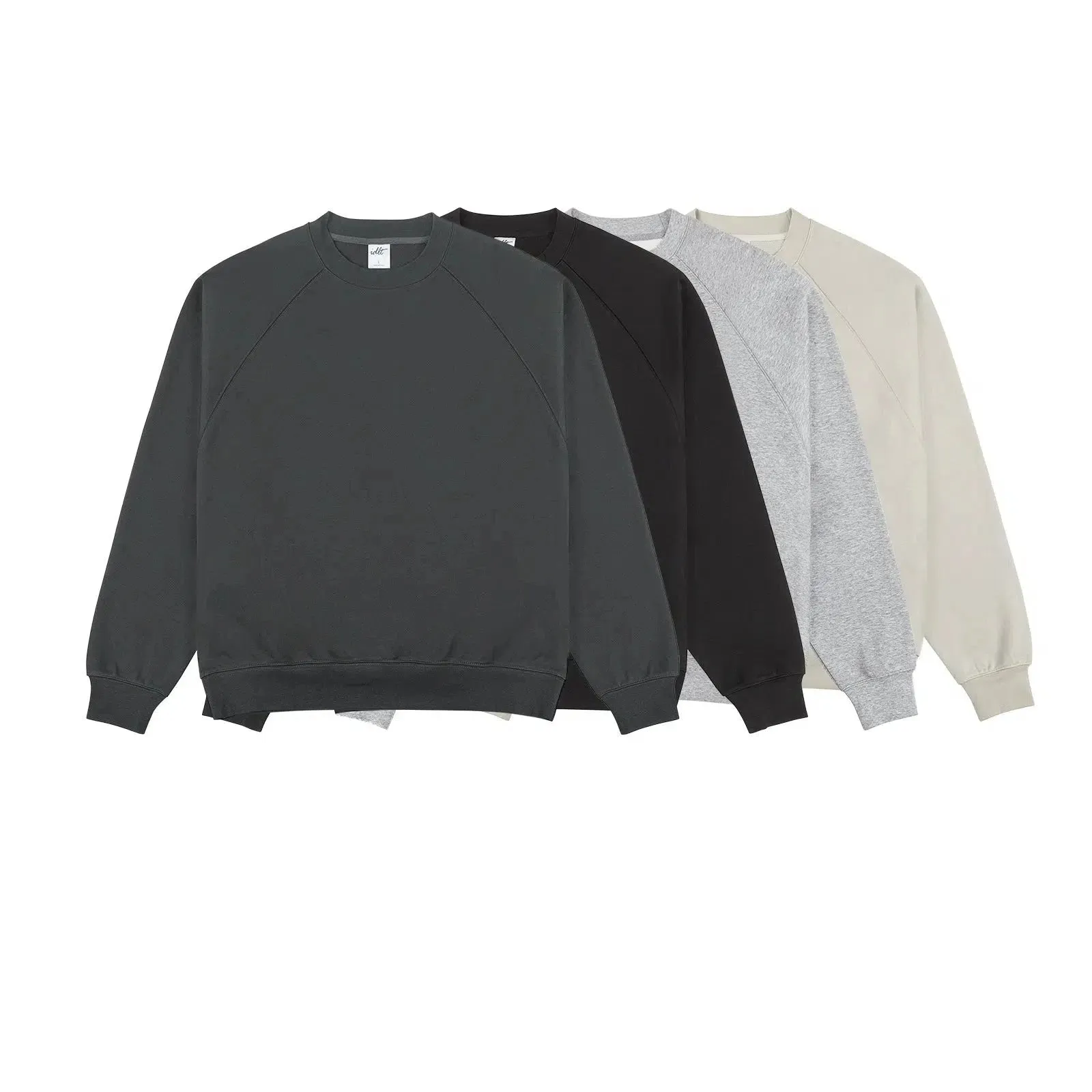 Basic Raglan Sleeve Sweatshirt